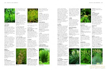 Illustrated Handbook Of Garden Plan - Mikolajski [KSIĄŻKA]