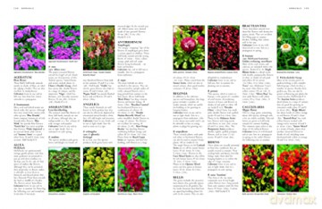 Illustrated Handbook Of Garden Plan - Mikolajski [KSIĄŻKA]