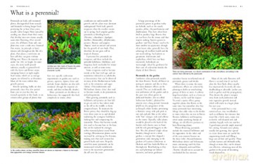 Illustrated Handbook Of Garden Plan - Mikolajski [KSIĄŻKA]