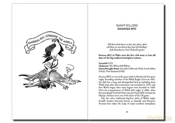 Illustrated History Of Rugby Rebels Role - James Stafford [KSIĄŻKA]