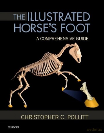 Illustrated Horses Foot - Christopher Pollitt [KSIĄŻKA]