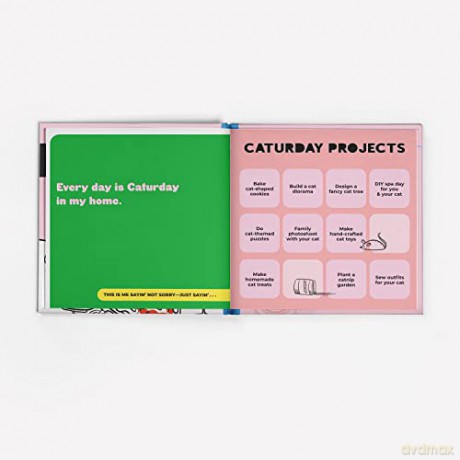 Im A Cat Lady Sorry Not Sorry Book - Knock Knock [KSIĄŻKA]