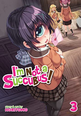 Im Not A Succubus Vol 3 - Horitomo [KSIĄŻKA]
