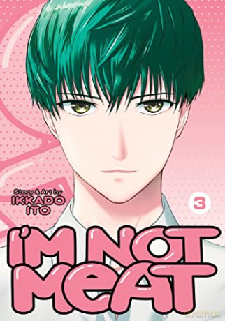 Im Not Meat Vol 3 - Ikkado Ito [KSIĄŻKA]