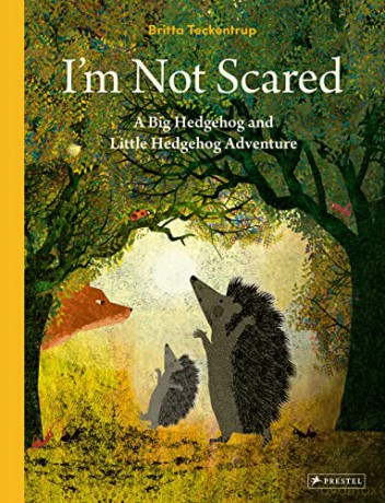 Im Not Scared - Teckentrup B [KSIĄŻKA]