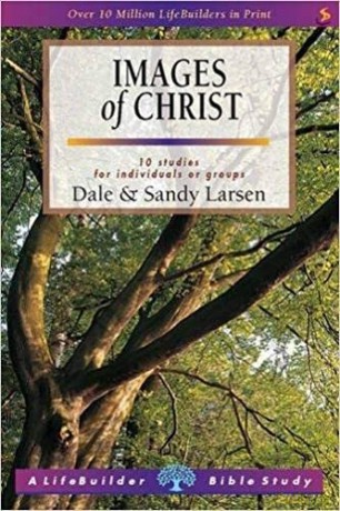 Images Of Christ - Larson Dale Sandy [KSIĄŻKA]