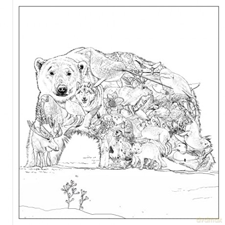 Imaginaria In The Wild - Simon Mendez [KSIĄŻKA]