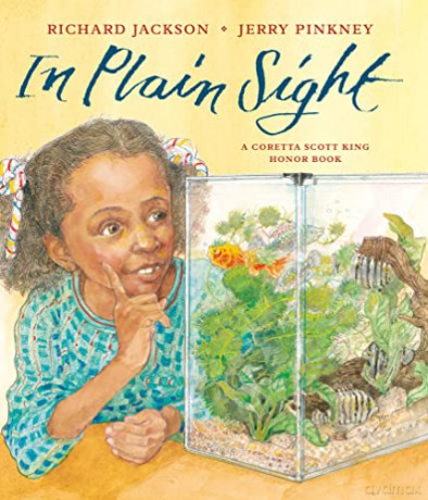 In Plain Sight - Richard Jackson [KSIĄŻKA]