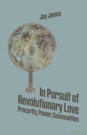 In Pursuit Of Revolutionary Love - Joy James [KSIĄŻKA]