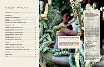 In Search Of Wild Silk - Karen Selk [KSIĄŻKA]