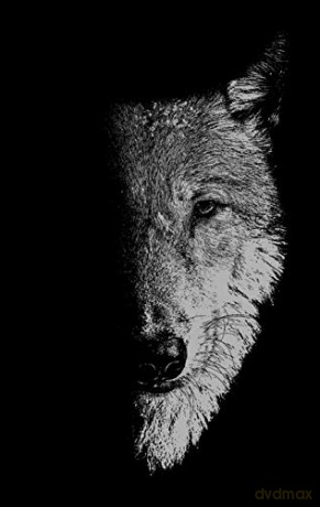 In The Company Of Wolves - Sam George [KSIĄŻKA]