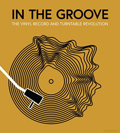 In The Groove - Matt Et Al Anniss [KSIĄŻKA]
