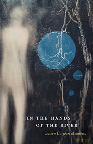 In The Hands Of The River - Luc Darjeun Meadows [KSIĄŻKA]