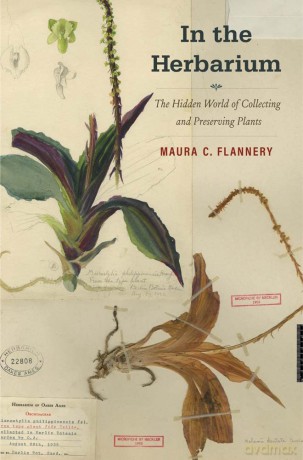 In The Herbarium - Maura C. Flannery [KSIĄŻKA]