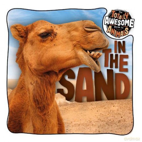 In The Sand - Brenda Mchale [KSIĄŻKA]