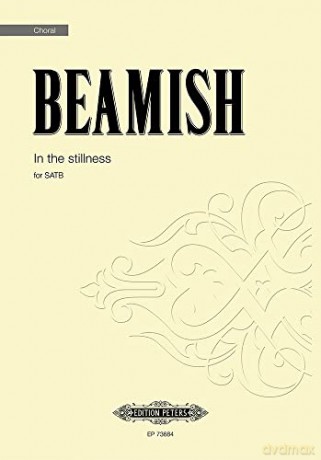 In The Stillness - Sally Beamish [KSIĄŻKA]