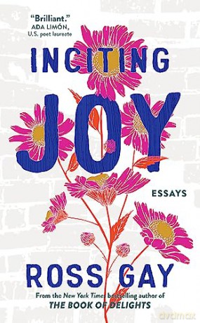 Inciting Joy Essays - Ross Gay [KSIĄŻKA]
