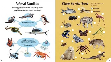 Incredible Animal Activity Book - William Potter [KSIĄŻKA]