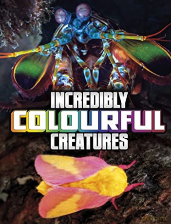 Incredibly Colourful Creatures - Meg Cooley Peterson [KSIĄŻKA]