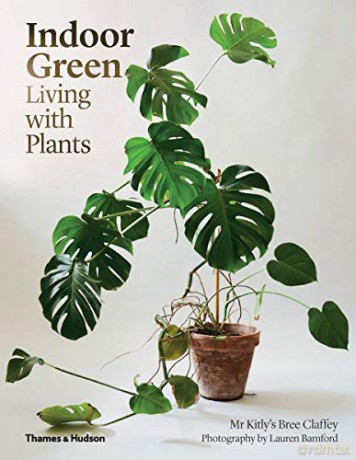 Indoor Green Living With Plants - Bree Claffey [KSIĄŻKA]