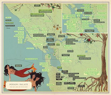 Infinite City A San Francisco Atlas - Rebecca Solnit [KSIĄŻKA]