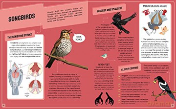 Infographic Animals - Alex Woolf [KSIĄŻKA]
