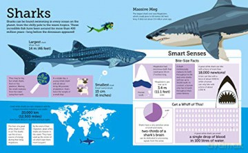 Infographic Animals - Alex Woolf [KSIĄŻKA]
