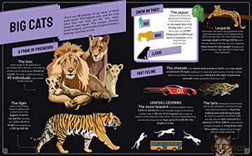 Infographic Animals - Alex Woolf [KSIĄŻKA]