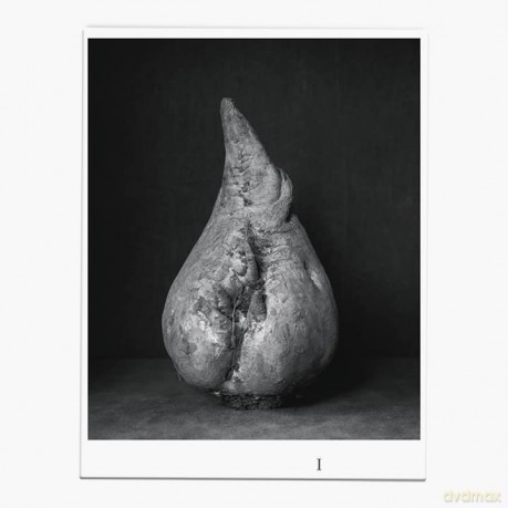Ingar Krauss Zuckerrben Sugar Beets - Eugene Blume [KSIĄŻKA]