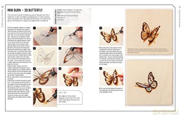 Innovative Artist The Art Of Pyrography - Cherry Ferris [KSIĄŻKA]