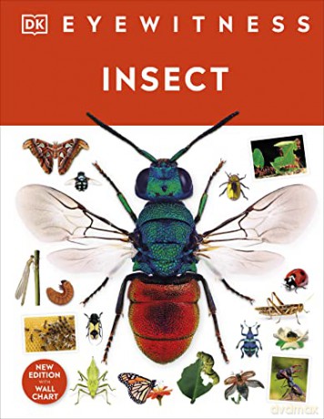 Insect [KSIĄŻKA]