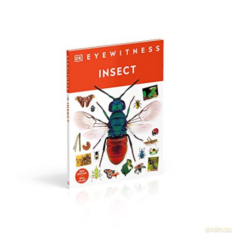 Insect [KSIĄŻKA]