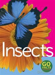 Insects - Katy Pike [KSIĄŻKA]