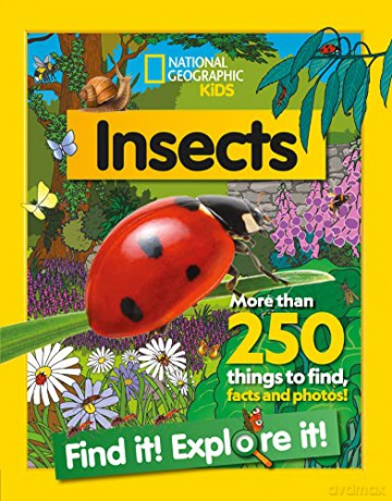Insects Find It Explore It [KSIĄŻKA]