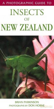 Insects Of New Zealand - Brian Parkinson [KSIĄŻKA]