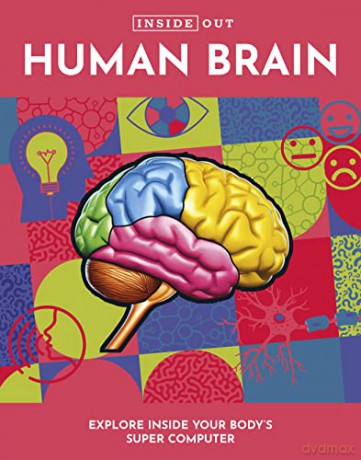 Inside Out Human Brain - Chartwell (Ed) [KSIĄŻKA]