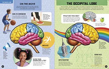 Inside Out Human Brain - Chartwell (Ed) [KSIĄŻKA]