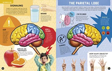 Inside Out Human Brain - Chartwell (Ed) [KSIĄŻKA]