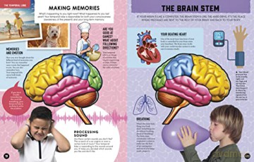 Inside Out Human Brain - Chartwell (Ed) [KSIĄŻKA]