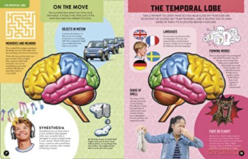 Inside Out Human Brain - Chartwell (Ed) [KSIĄŻKA]