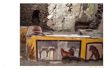 Inside Pompeii - Luigi Spina [KSIĄŻKA]