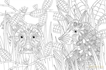 Inspirational Colouring: Animals And Nae [KSIĄŻKA]