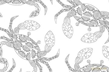 Inspirational Colouring: Animals And Nae [KSIĄŻKA]