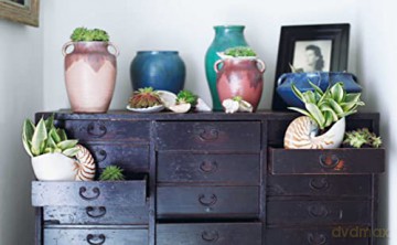 Inspire The Art Of Living With Nature - Willow Crossley [KSIĄŻKA]