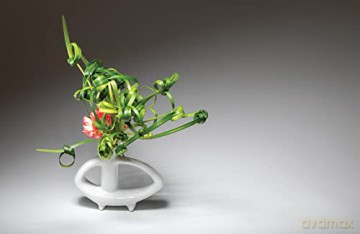 Inspiring Ikebana - Isle Beunen [KSIĄŻKA]