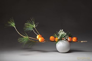 Inspiring Ikebana - Isle Beunen [KSIĄŻKA]