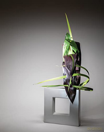 Inspiring Ikebana - Isle Beunen [KSIĄŻKA]