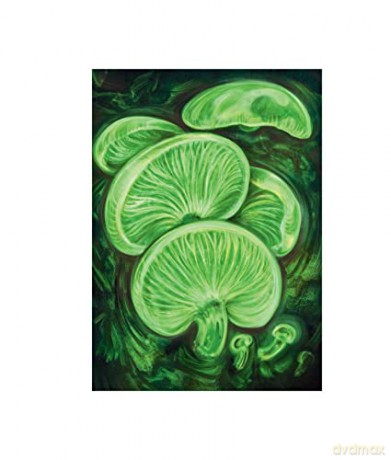 Instant Wall Art Enchanted Mushrooms - Sara Richard [KSIĄŻKA]