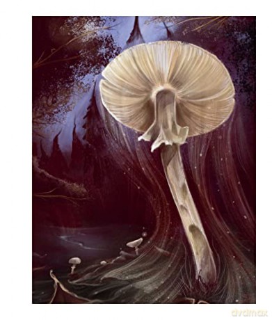 Instant Wall Art Enchanted Mushrooms - Sara Richard [KSIĄŻKA]