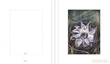 Instant Wall Art Enchanted Mushrooms - Sara Richard [KSIĄŻKA]